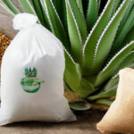 Agave Plant next to Bag of Rice